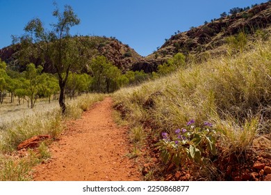Path in the outback, Emily and Jessie gap Mc Donnell range near Alice Springs, Australia