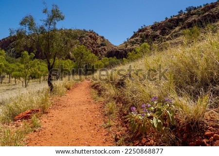 Path in the outback, Emily and Jessie gap Mc Donnell range near Alice Springs, Australia