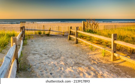 Path over sand dunes to the Atlantic Ocean at sunrise in Ventnor City, New Jersey.