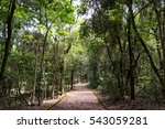 Path in the park