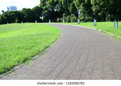 path in park