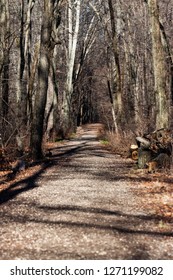 path in the park