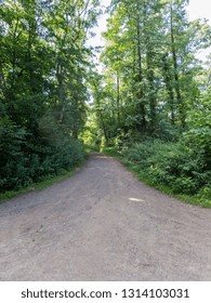 Path in park