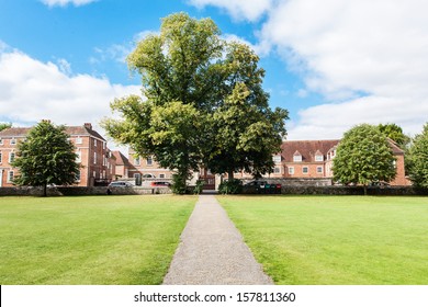 Path in the park