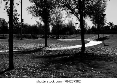Path in a park 