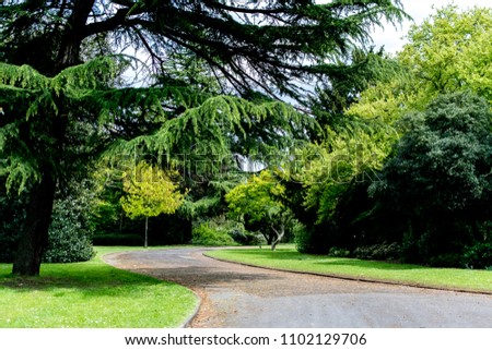 Path in the Park