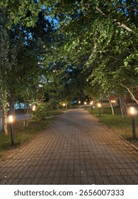 path in the park with lights