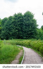 A Path In A Park Made Of Granite Chips With A Parallel Path Going To The Left Against A Background Of Trees And Flowering Shrubs 