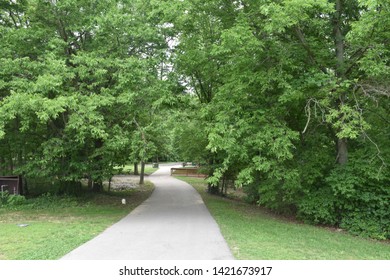 A path in a park next to trees