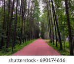 Path in the park in summer