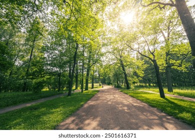 A path in a park with trees and a bench