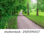 A path in a park with trees and a pond. The path is made of gravel and is surrounded by grass