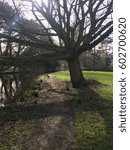 A path in the park under an old tree.