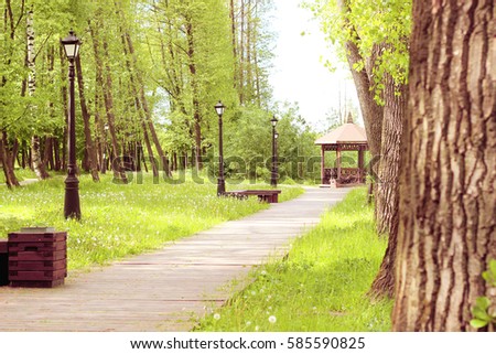 Path in the park, which leads to the gazebo. Beautiful park with trees, lanterns and gazebo. Spring park with dandelions.