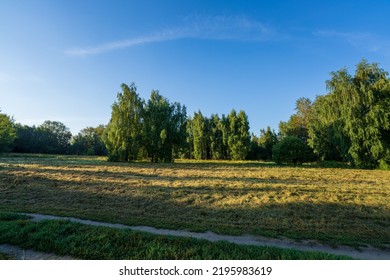 A path passing through an autumn meadow against the backdrop of trees and a blue sky. Morning landscape. Trees illuminated by the morning sun