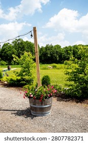 Path, pathway, half barrel planter. Summer summertime flower annuals. Grass, lawn. Trees. Sunny day. Wooden post, string lights. Sunny day. Countryside, country, rural property. Space, spacious, attractive, inviting.