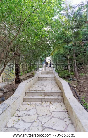 A path paved white stone path among green bushes and trees.