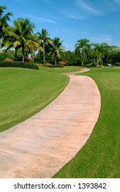 path for pedestrians and golf carts in south florida park