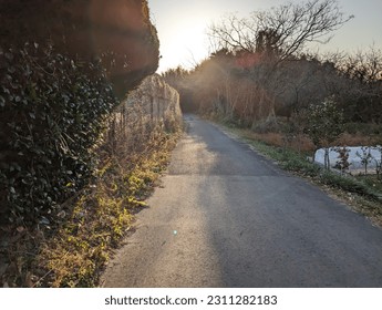 path pointing to the setting sun