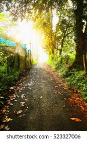 Path Road Way Pathway On Sunny Day In Summer Forest. Sunbeams Pour Through Trees. Indian Nature