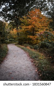 Path In Rockefeller State Park In Autumn