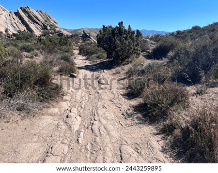 Path Rocks Desert Sun Bushes