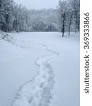 Path in the snow