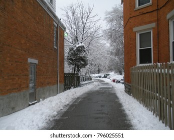 Path in the snow