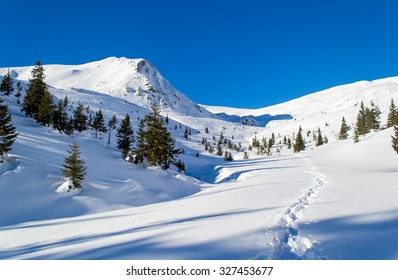 Path In The Snow To The Mountain. Trees. Long Shadows. Clear Sky, Sunny. Winter. Ukraine