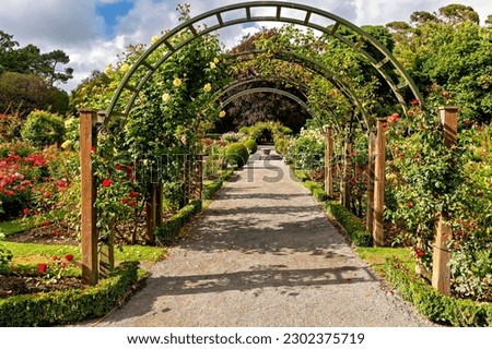 path spanned with arches in the rose garden of Queens Park in Invercargill, New Zealand
