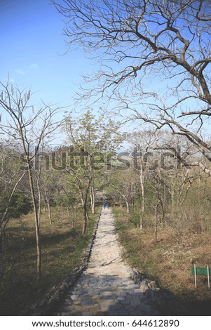 Similar – Image, Stock Photo Together in the green