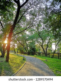 Path to success 