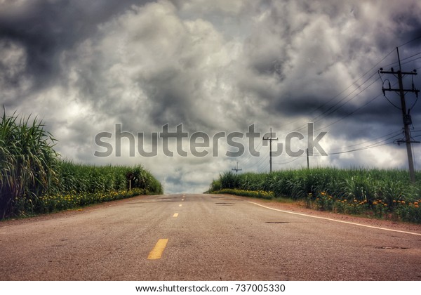 Path Success Nature Businessfinance Stock Image