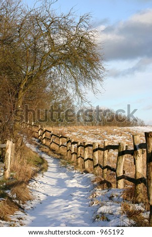 a path in the sun in  winter in denmark