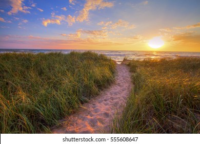 Path To A Sunset Beach. Winding trail through dune grass leads to a sunset beach on the coast of the inland sea of Lake Michigan. Hoffmaster State Park. Muskegon, Michigan. - Shutterstock ID 555608647