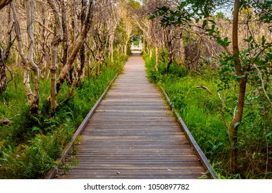 the path that leads to the beach