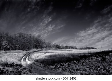 path through