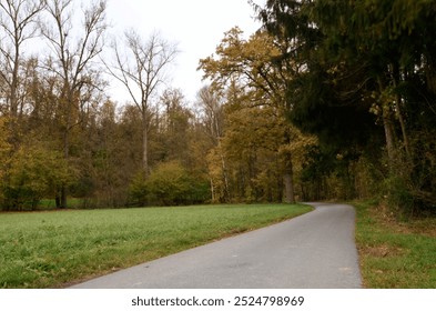 A path through autumn forest