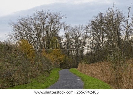 path through an autumn marsh landscape in Bourgoyen nature reserve, Ghent, Flanders, Belgium