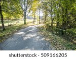 Path through the autumn trees