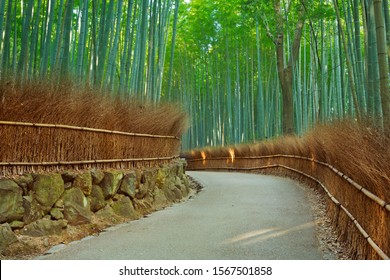 A path through a bamboo forest. Photographed at the Arashiyama bamboo grove near Kyoto, Japan.