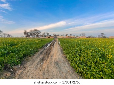 A path through the beautiful fields leading to a village