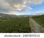 Path through bracken covered hillside