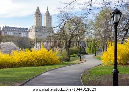 Path through Central Park Spring landscape in New York City