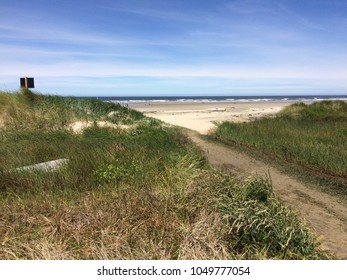 Path Through Dunes to Beach
