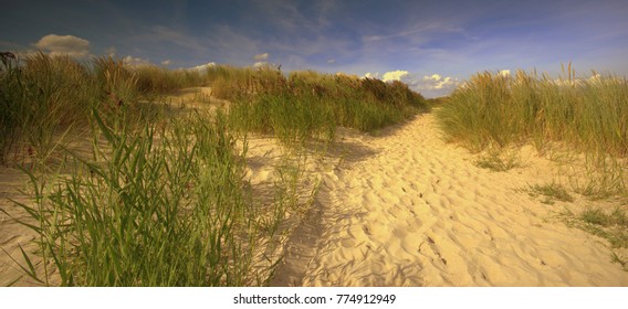 Path through the Dunes to the Beach