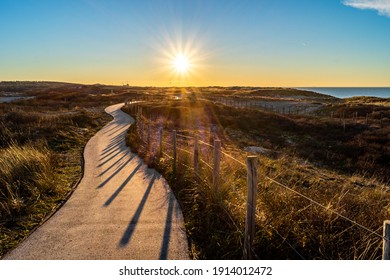 Path Through The Dunes, The Hague