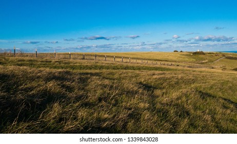 A path through the field