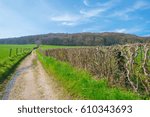 Path through a field in spring