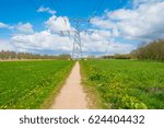 Path through a field in spring